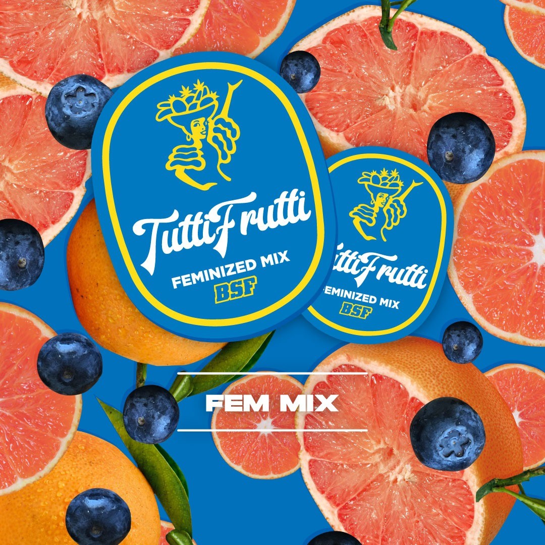 Tutti Frutti Mix Fem X4 - Bsf - vista 3