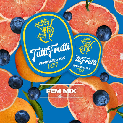 Tutti Frutti Mix Fem X4 - Bsf - vista 3