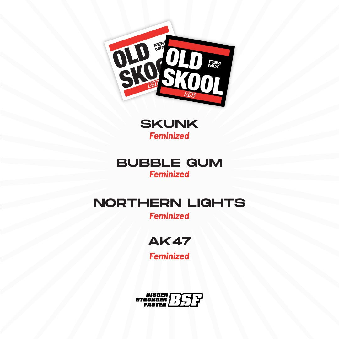 Old Skool Mix Fem X8 - Bsf - vista 2