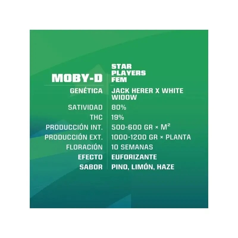 Moby-D Fem X2 - Bsf - vista 2