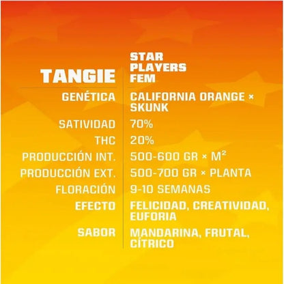 Tangie Fem X12 - Bsf