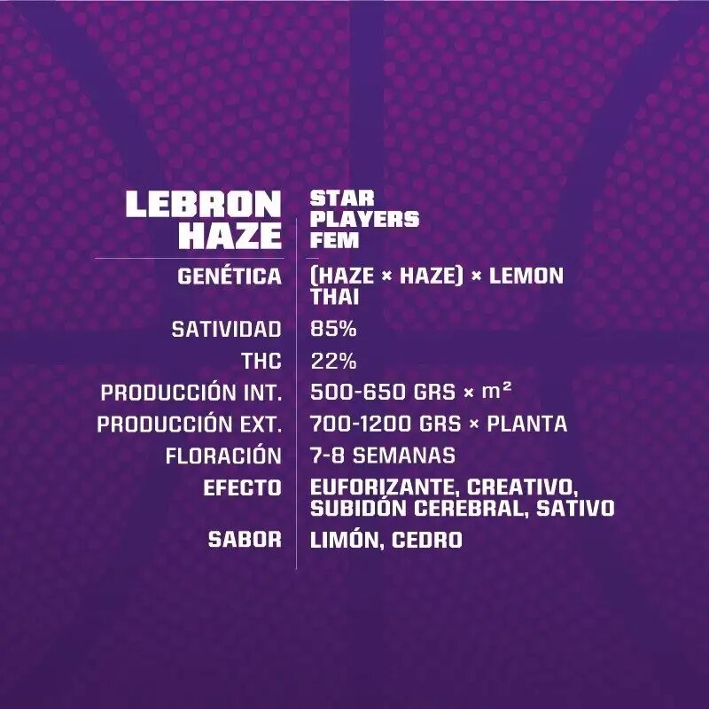 Lebron Haze Fem X2 - Bsf - vista 3