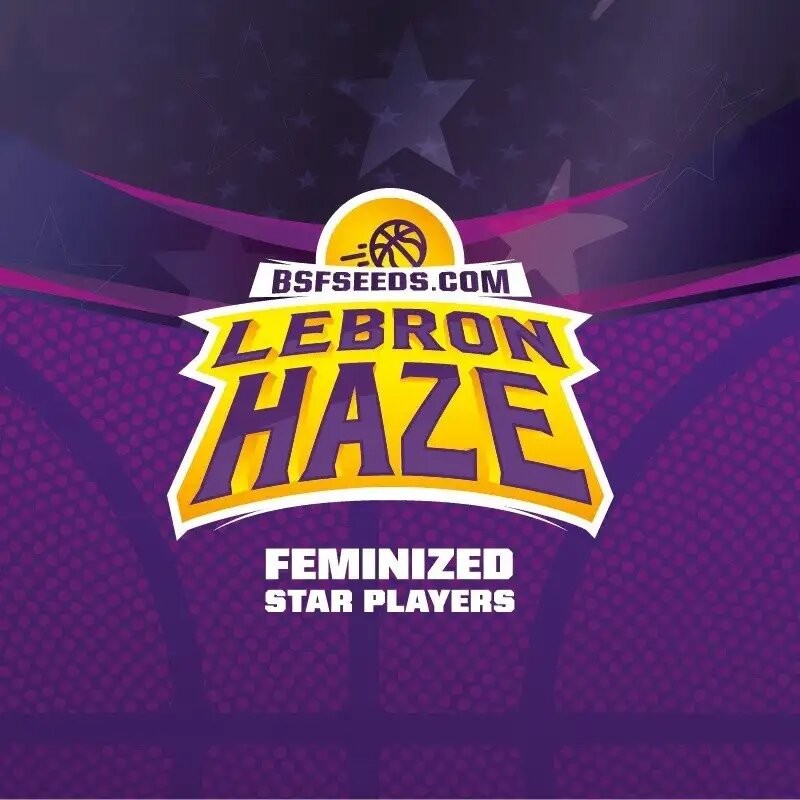 Lebron Haze Fem X12 - Bsf