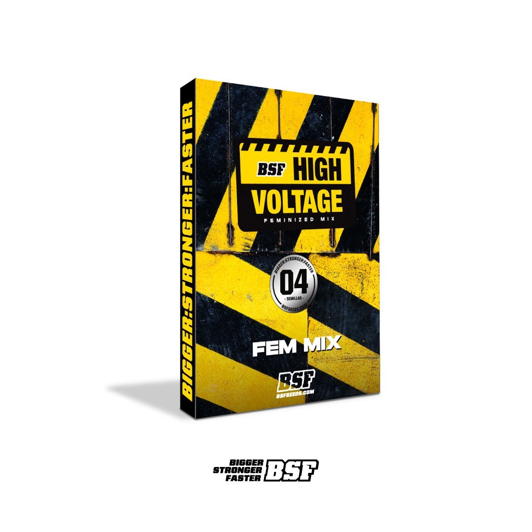 High Voltage Mix Fem X8 - Bsf