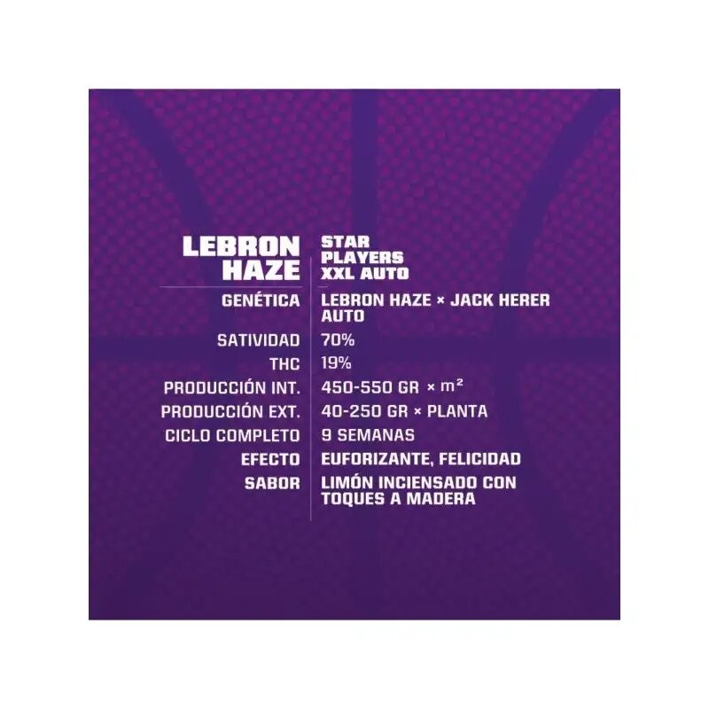 Lebron Haze Xxl Auto X12 - Bsf