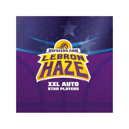 Lebron Haze Xxl Auto X12 - Bsf - vista 3