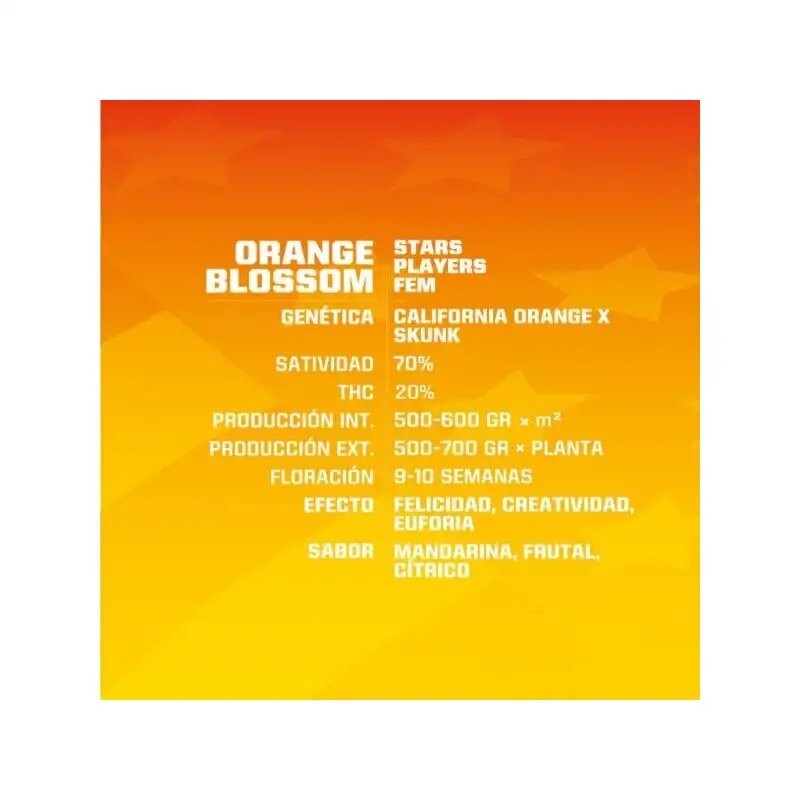 Orange Blossom Fem X12 - Bsf - vista 2
