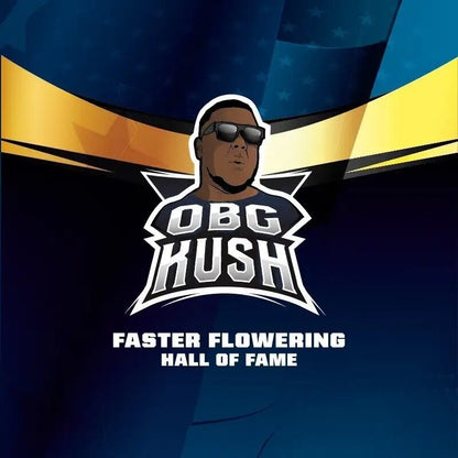 Obg Kush Fast Fem X2 - Bsf