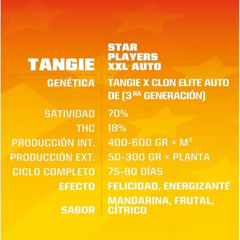 Tangie Xxl Auto X12 - Bsf - vista 2