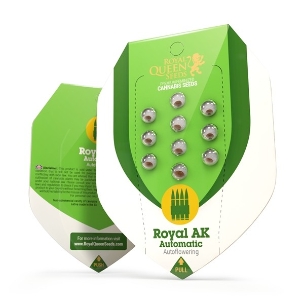 Royal Ak Auto X10 - Royal Queen