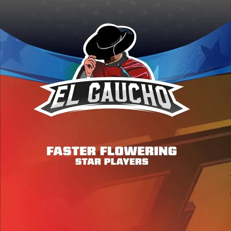 El Gaucho Faster Sp X4 - Bsf - vista 3