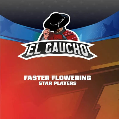 El Gaucho Faster Sp X4 - Bsf - vista 3