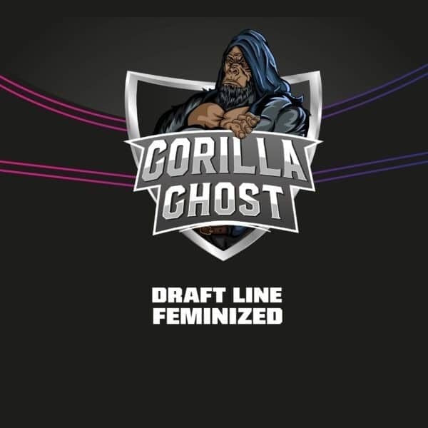 Gorilla Ghost Gk Fem X4 - Bsf - vista 2
