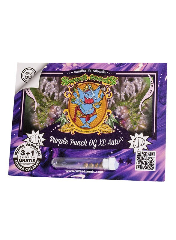 Purple Punch OG Xl Auto X25 - Sweet Seeds
