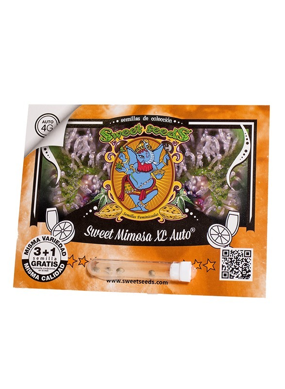 Sweet Mimosa Xl Auto X25 - Sweet Seeds