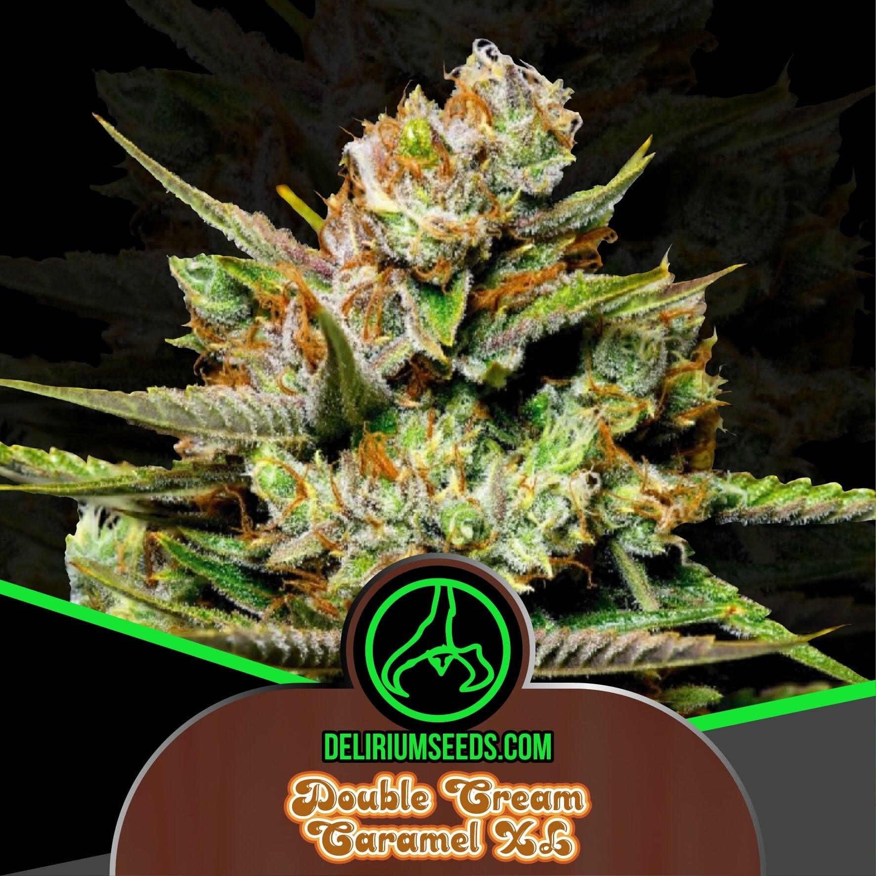 Double Cream Caramel Fast X2 - Delirium Seeds