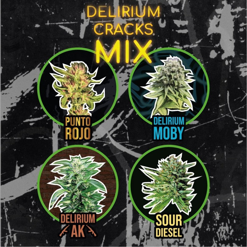 Mix Delirium Cracks Auto X4 - Delirium Seeds