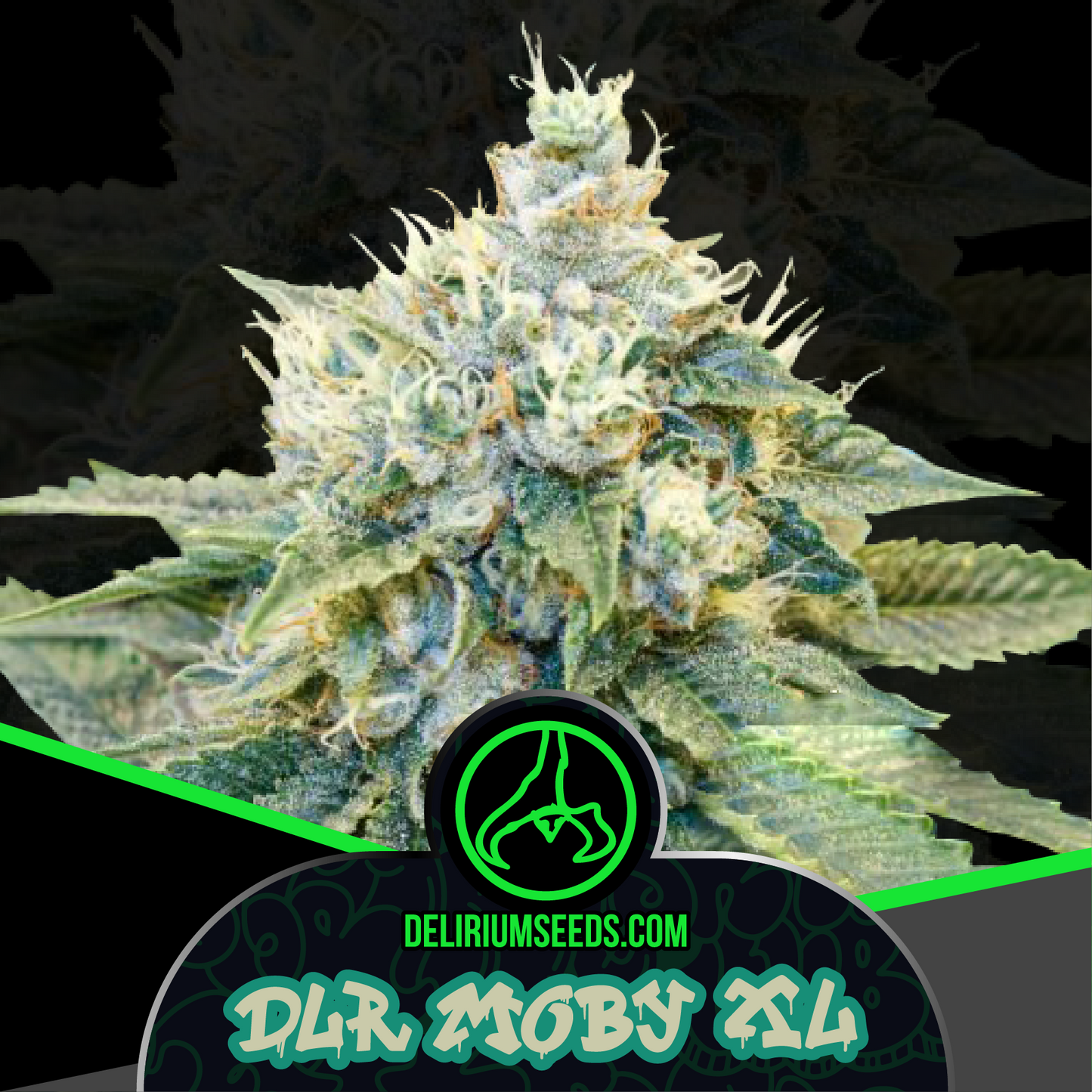 Dlr Moby Xl Fem X1 - Delirium Seeds