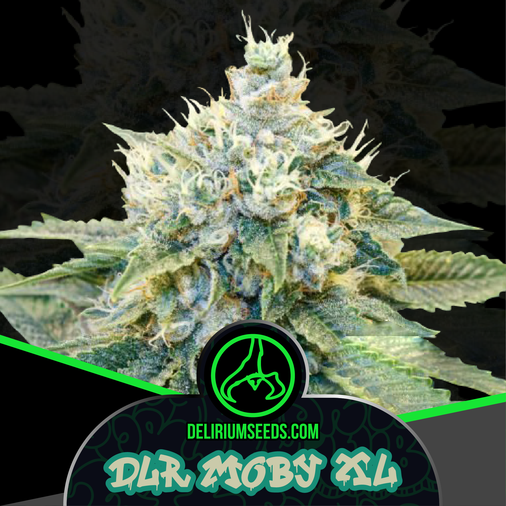 Dlr Moby Xl Fem X4 - Delirium Seeds