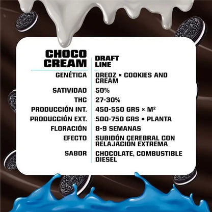 Choco Cream Fem X4 - Bsf - vista 2