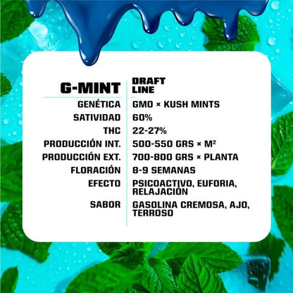 G-Mint Fem X4 - Bsf - vista 3
