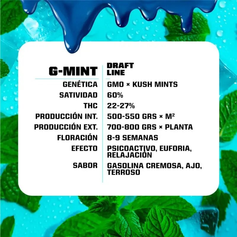G-Mint Fem X12 - Bsf - vista 3