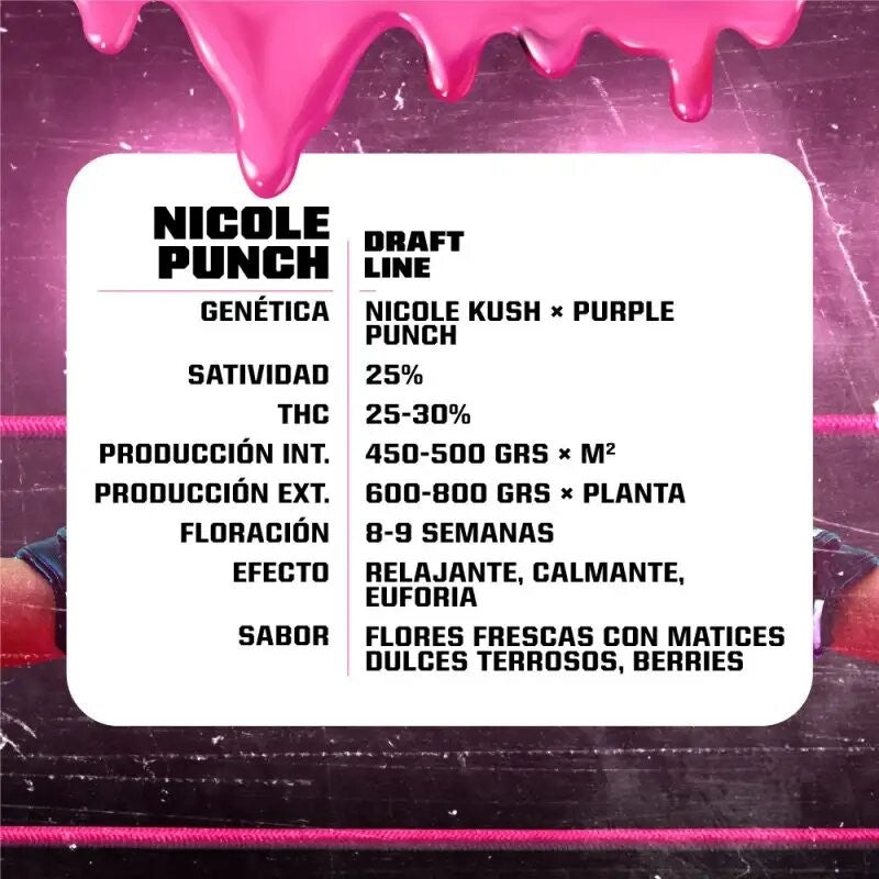 Nicole Punch Fem X12 - Bsf - vista 3