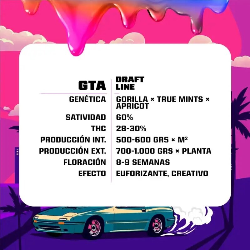 Gta Fem X2 - Bsf - vista 3