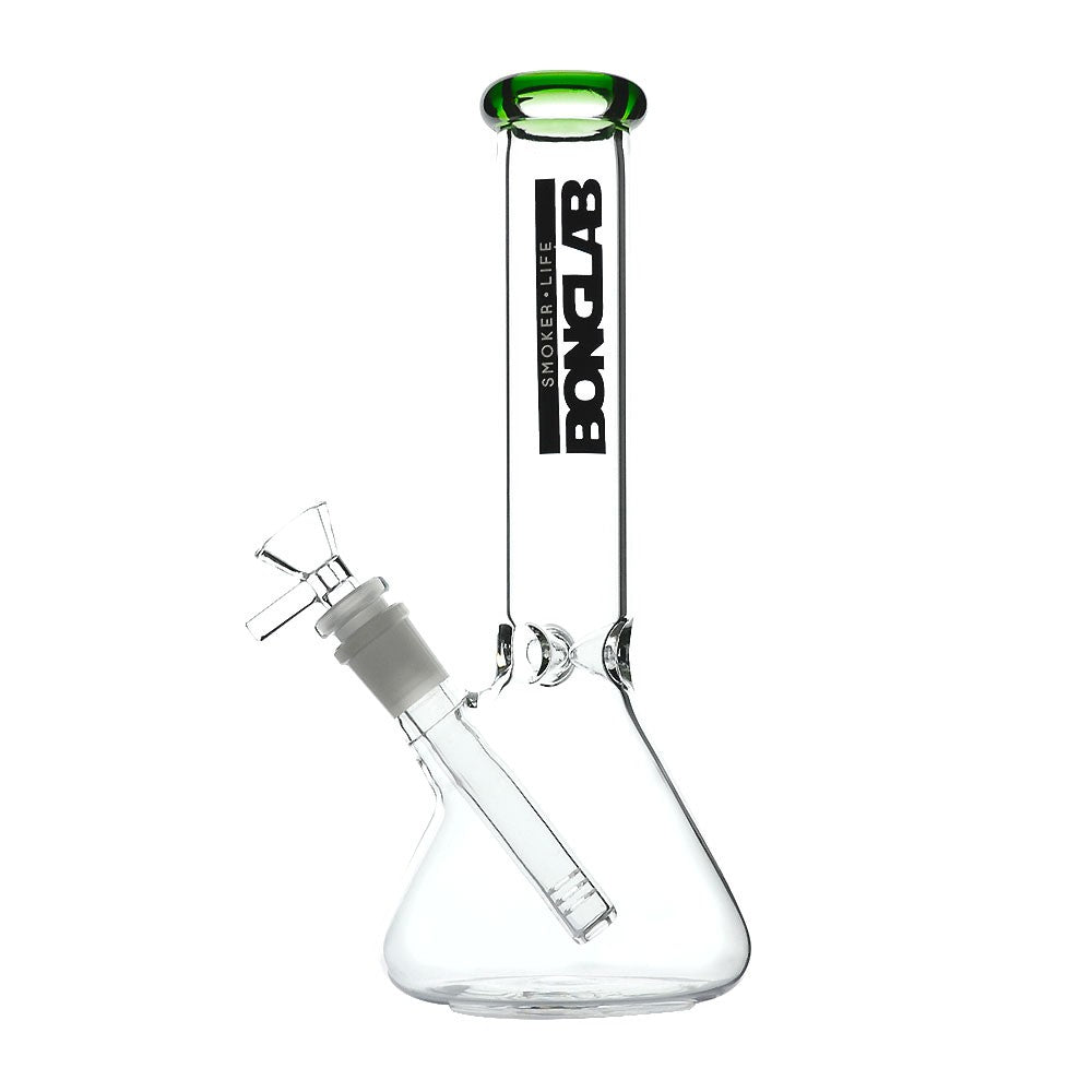 Little Buchner Bonglab - vista 4