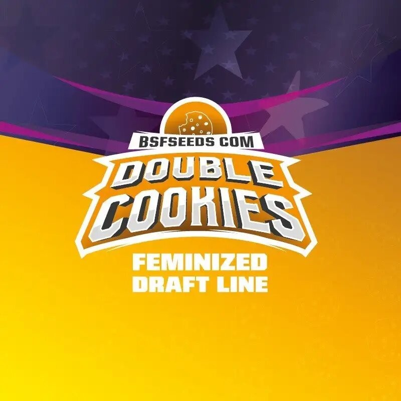 Double Cookies Fem X2 - Bsf - vista 3