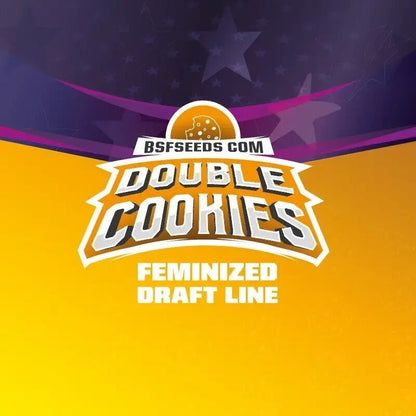 Double Cookies Fem X2 - Bsf - vista 3