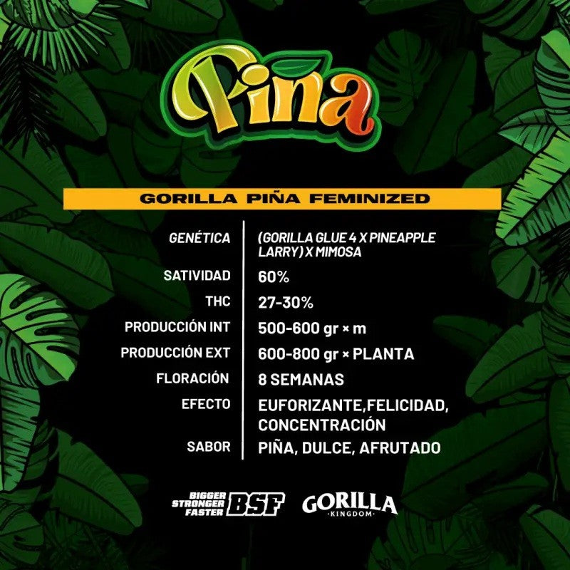 Gorilla Piña Fem X4 - Bsf - vista 2