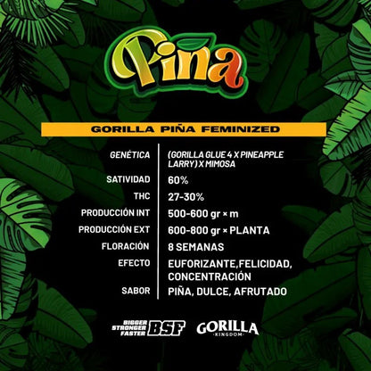 Gorilla Piña Fem X4 - Bsf - vista 2