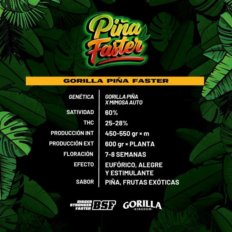 Gorilla Piña Fast Version X2 - Bsf - vista 2