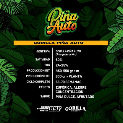 Gorilla Piña Auto X2 - Bsf - vista 2