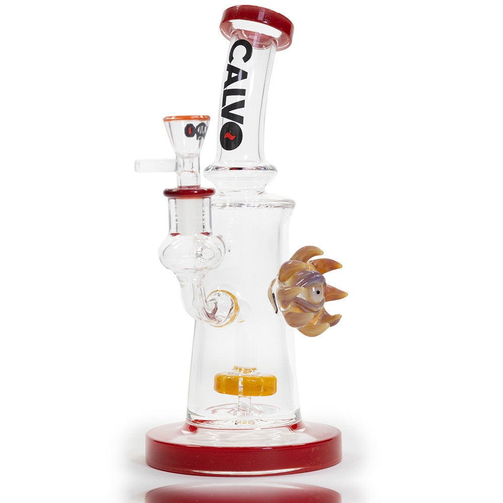 Rig Eye Sun Orange - Calvo - vista 3