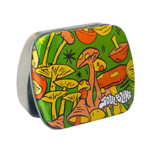 Caja Contenedora Grande Tapa Bisagra 12U - Soulblime - vista 2