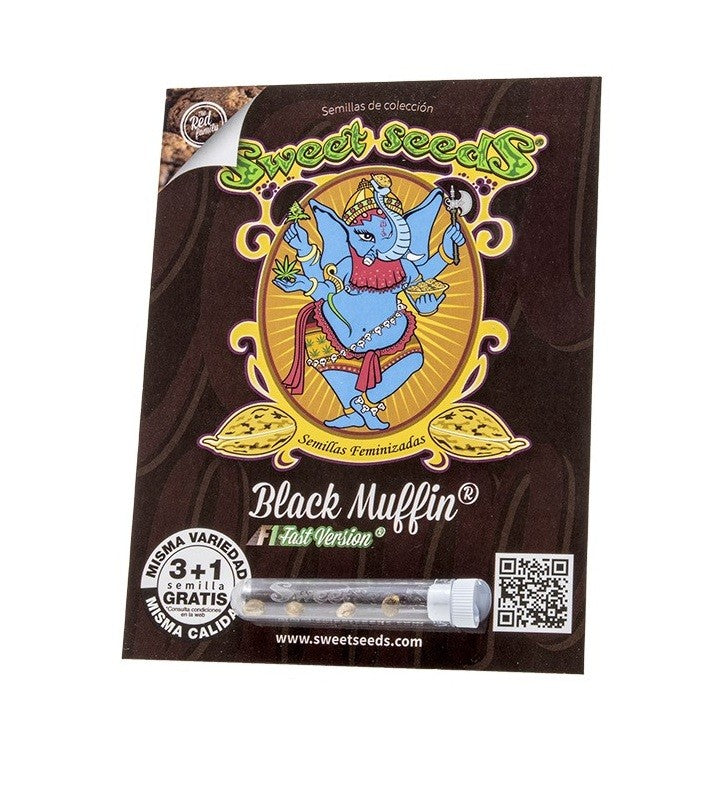 Black Muffin F1 Fast Version X3+1 - Sweet Seeds