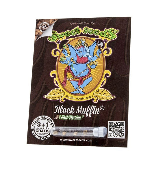 Black Muffin F1 Fast Version X3+1 - Sweet Seeds
