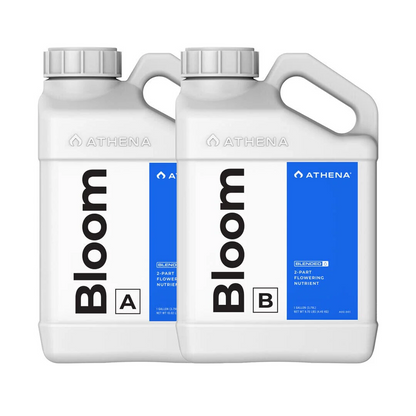 Bloom A+B 3.75LT - Athena