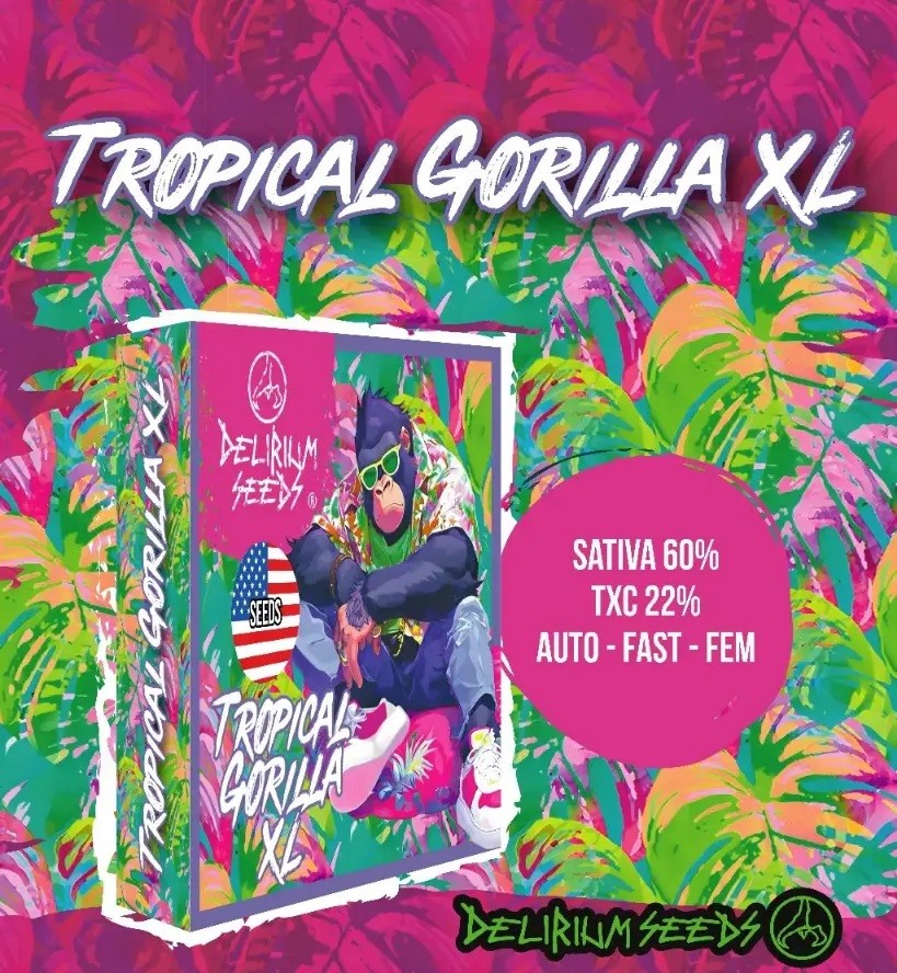 Tropical Gorilla Xl Auto X4 - Delirium Seeds
