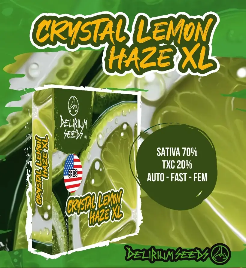 Crystal Lemon Haze Xl Fem X4 - Delirium Seeds