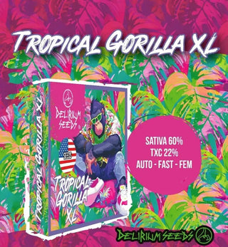 Tropical Gorilla Xl Fem X2 - Delirium Seeds