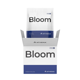 Pro Line Bloom 11.3KG (Box) - Athena