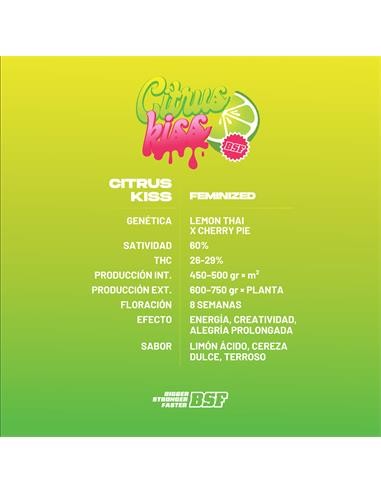 Citrus Kiss Fem X2 - Bsf - vista 2