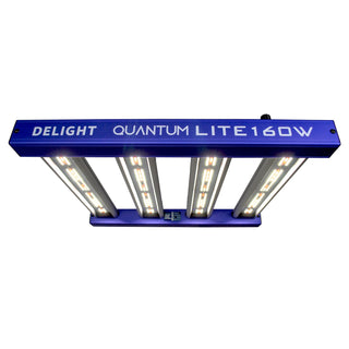 QUANTUM LITE 160W - DELIGHT