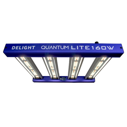 QUANTUM LITE 160W - DELIGHT