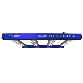 QUANTUM LITE 240W - DELIGHT
