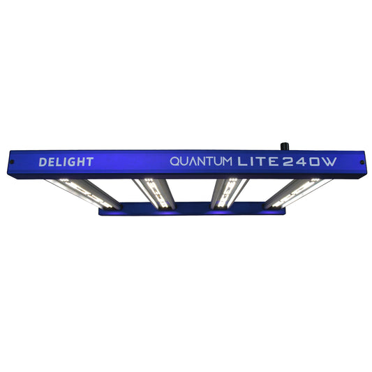 QUANTUM LITE 240W - DELIGHT