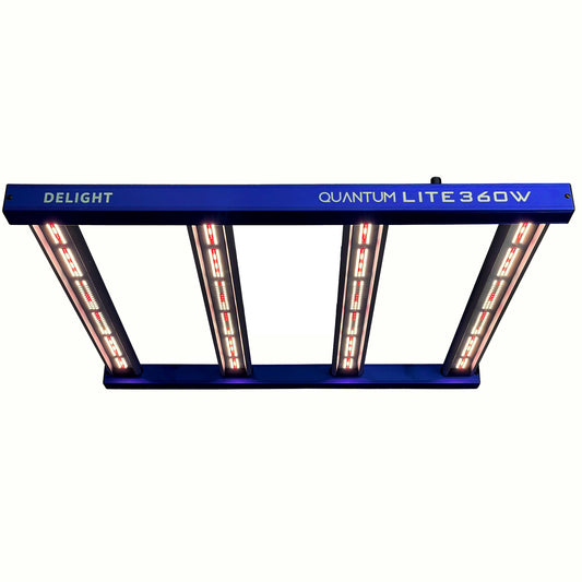 QUANTUM LITE 360W - DELIGHT